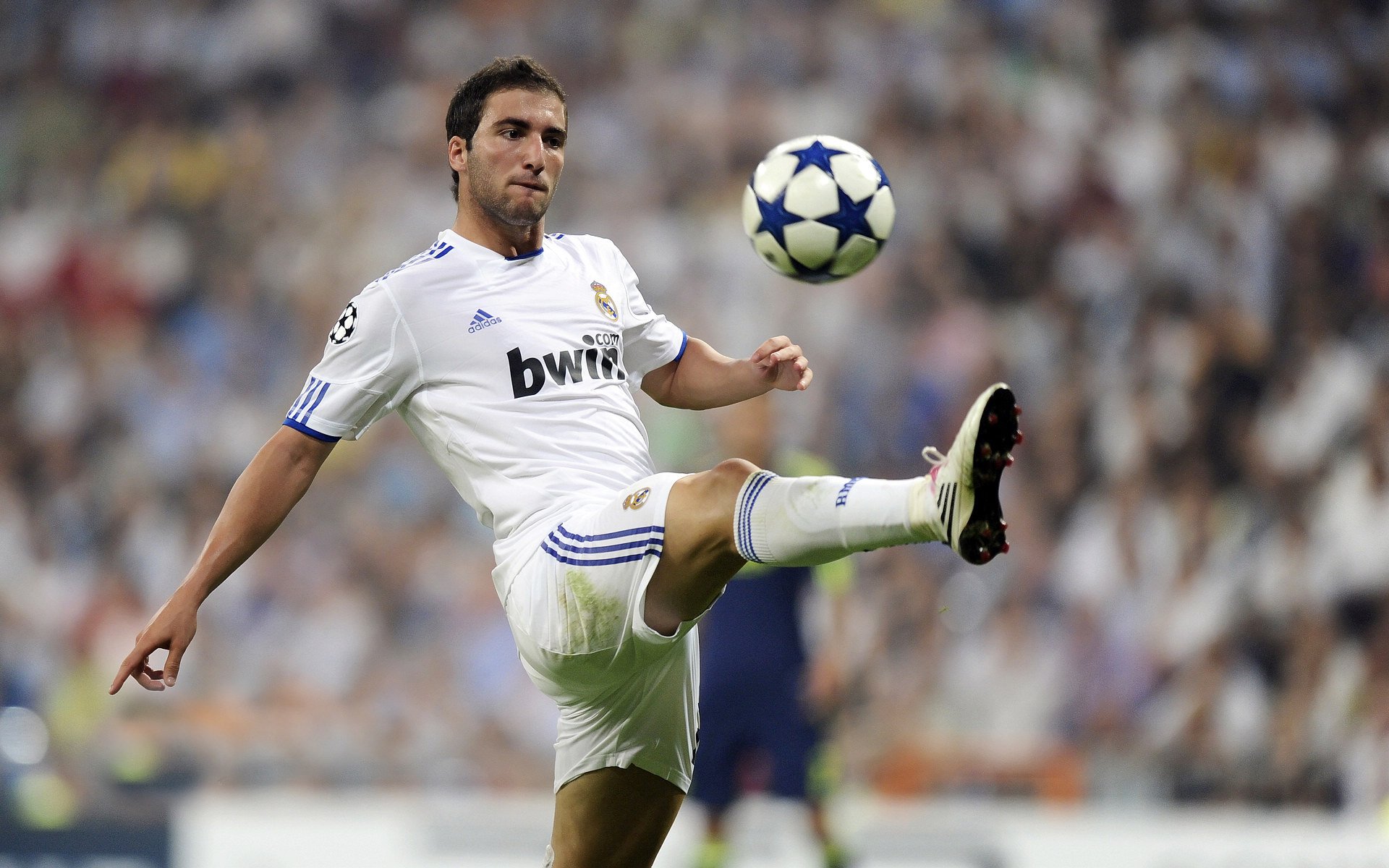 科里·简：频繁站出来解决困境，成为全黑队的得分保证，科里纳简介