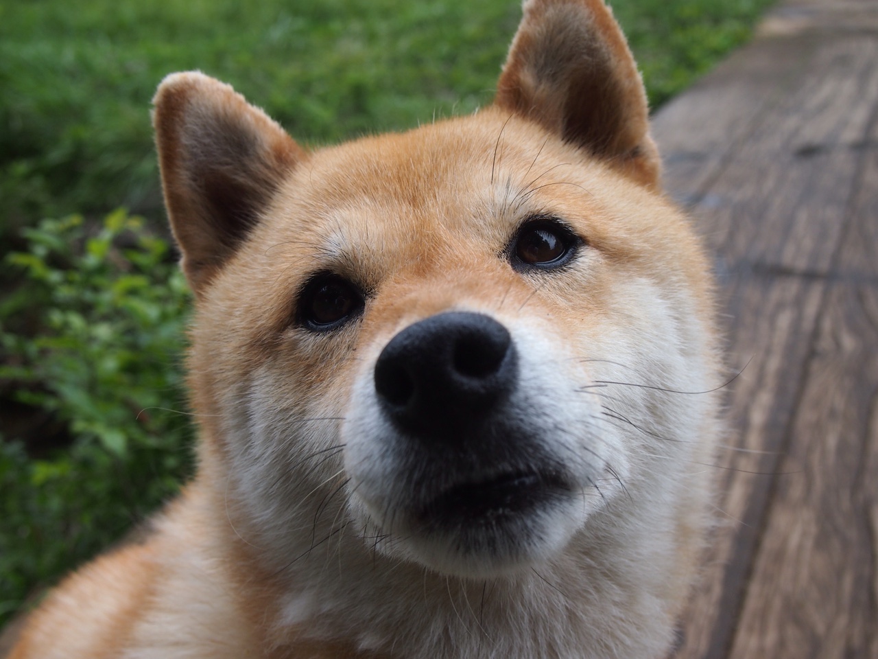 “逆境中的逐光者”——那些铸就传奇的车手故事,励志车手故事