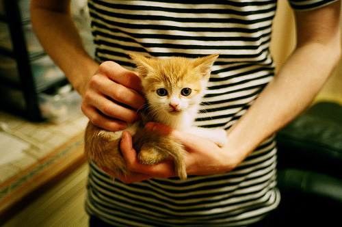 “逆境中的领袖:明星队长的坚韧精神”,明星队队长