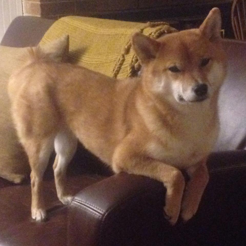 九游网页版入口-【水手新秀罗德里格斯】单场三全垒打引爆全场，罗徳里格斯