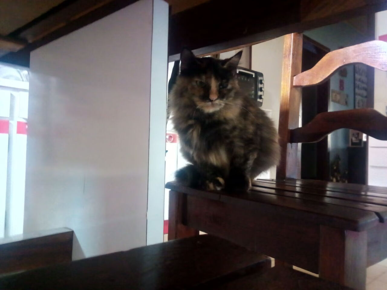 九游网页版入口-守望先锋 职业联赛竞争异常激烈，守望先锋联赛 竞猜一刻